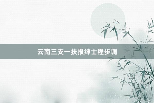 云南三支一扶报绅士程步调