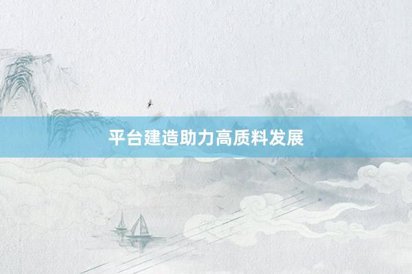 平台建造助力高质料发展