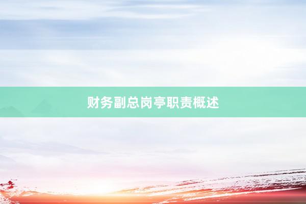 财务副总岗亭职责概述